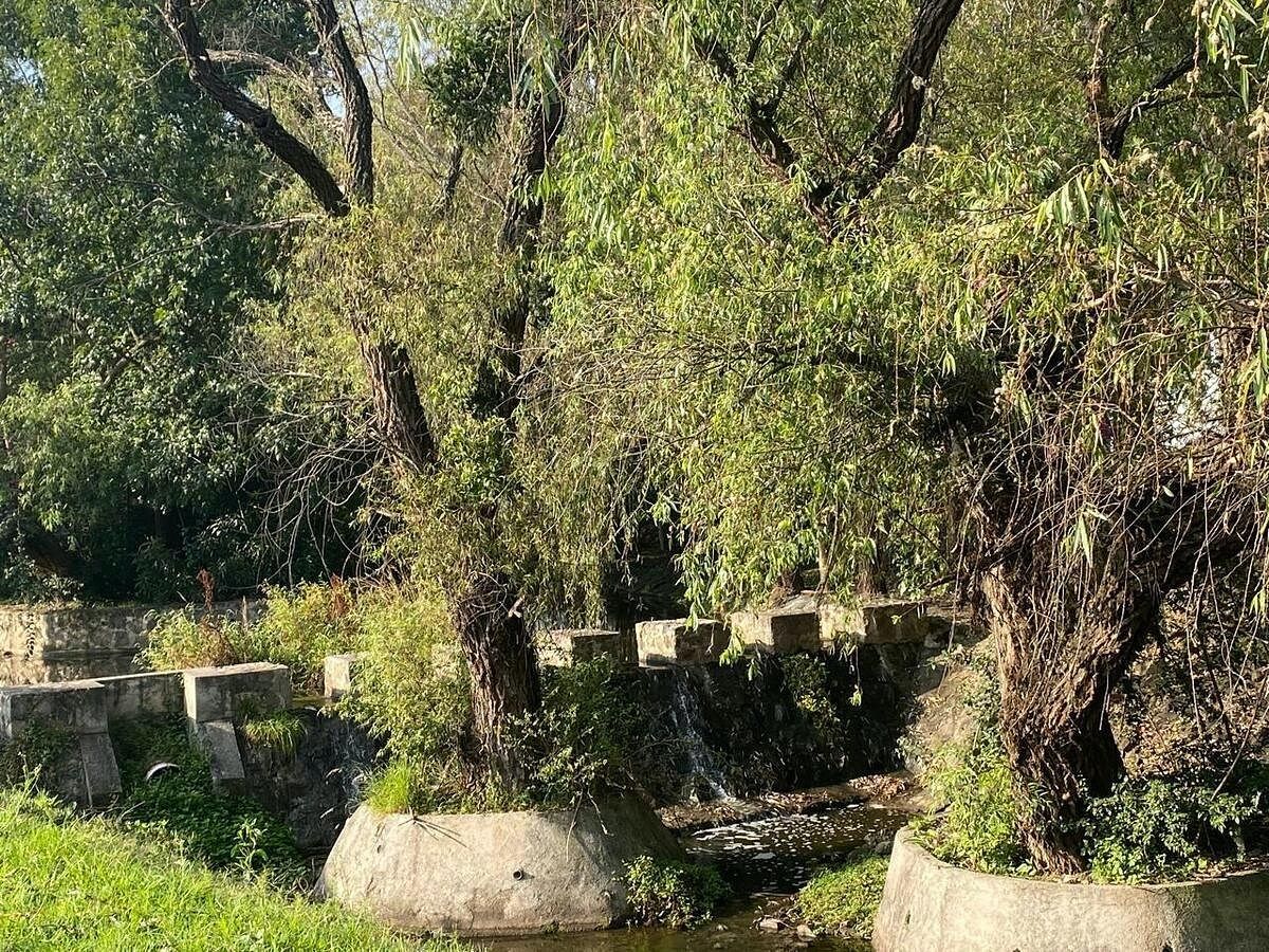 Terreno en Paseo del Parque, Morelia, foto 3 de 9