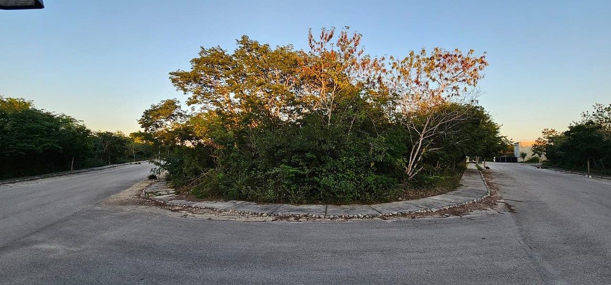 Lote em Dzidzilché, Mérida, foto 3 de 21