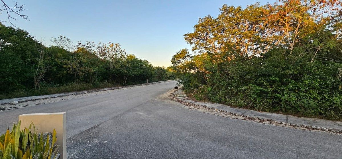 Lote em Dzidzilché, Mérida, foto 4 de 21