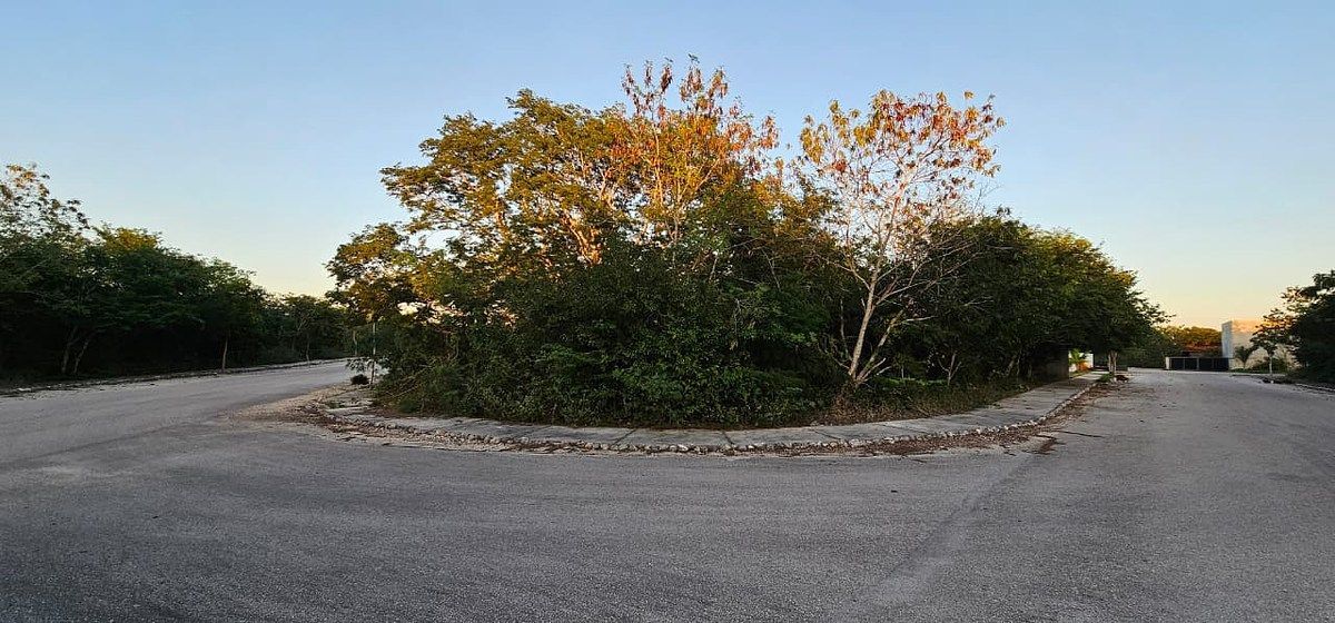 Lote em Dzidzilché, Mérida, foto 5 de 21