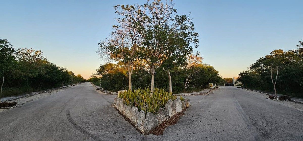 Lote em Dzidzilché, Mérida, foto 6 de 21