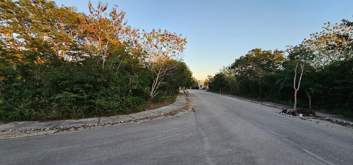 Lote em Dzidzilché, Mérida, foto 7 de 21