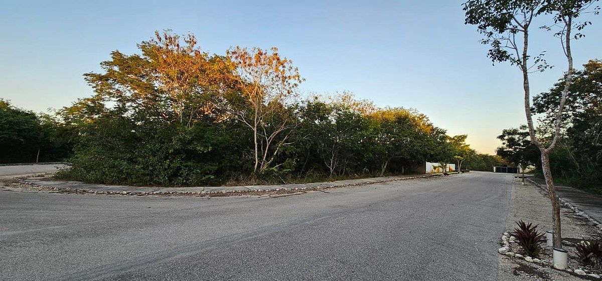 Lote em Dzidzilché, Mérida, foto 8 de 21