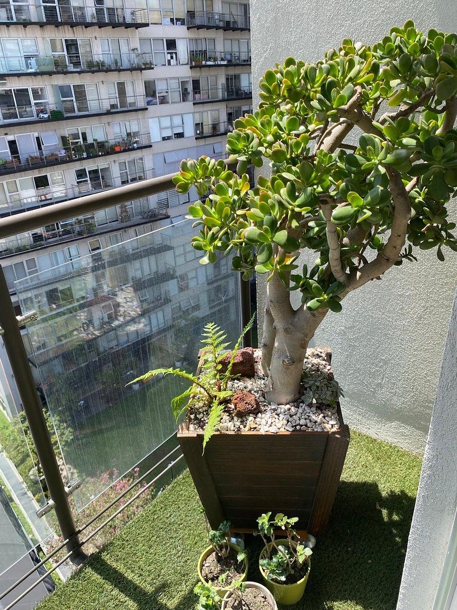 Apartment in Xoco, Benito Juárez, photo 12 of 39