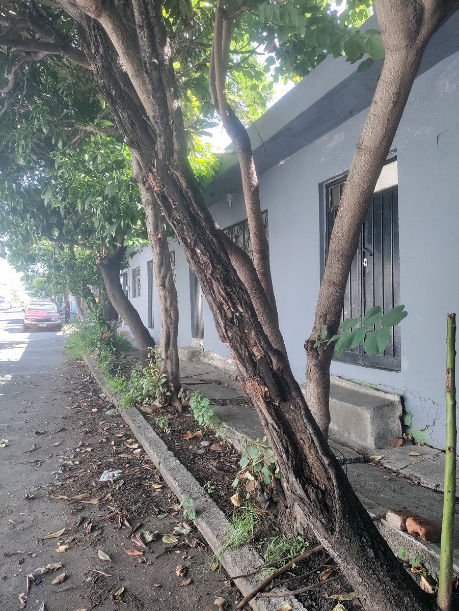 Lot in Lomas de Guayangareo, Morelia, photo 4 of 6