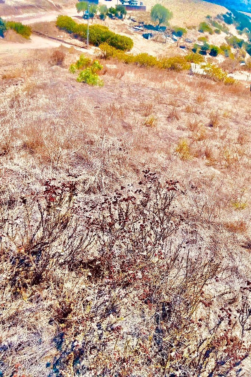 Lot in Lomas Altas II, Playas de Rosarito, photo 6 of 7