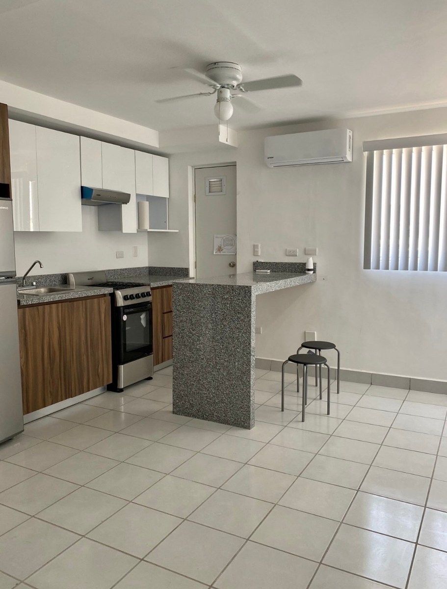 Apartment in Industrial, Monterrey, photo 4 of 14