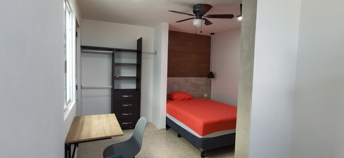 Departamento amueblado tipo Estudio en renta, en Las Americas, Merida Yucatan, foto 1 de 16