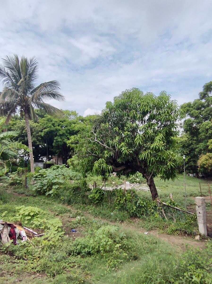 Lot in Las Bajadas, Veracruz, photo 2 of 10