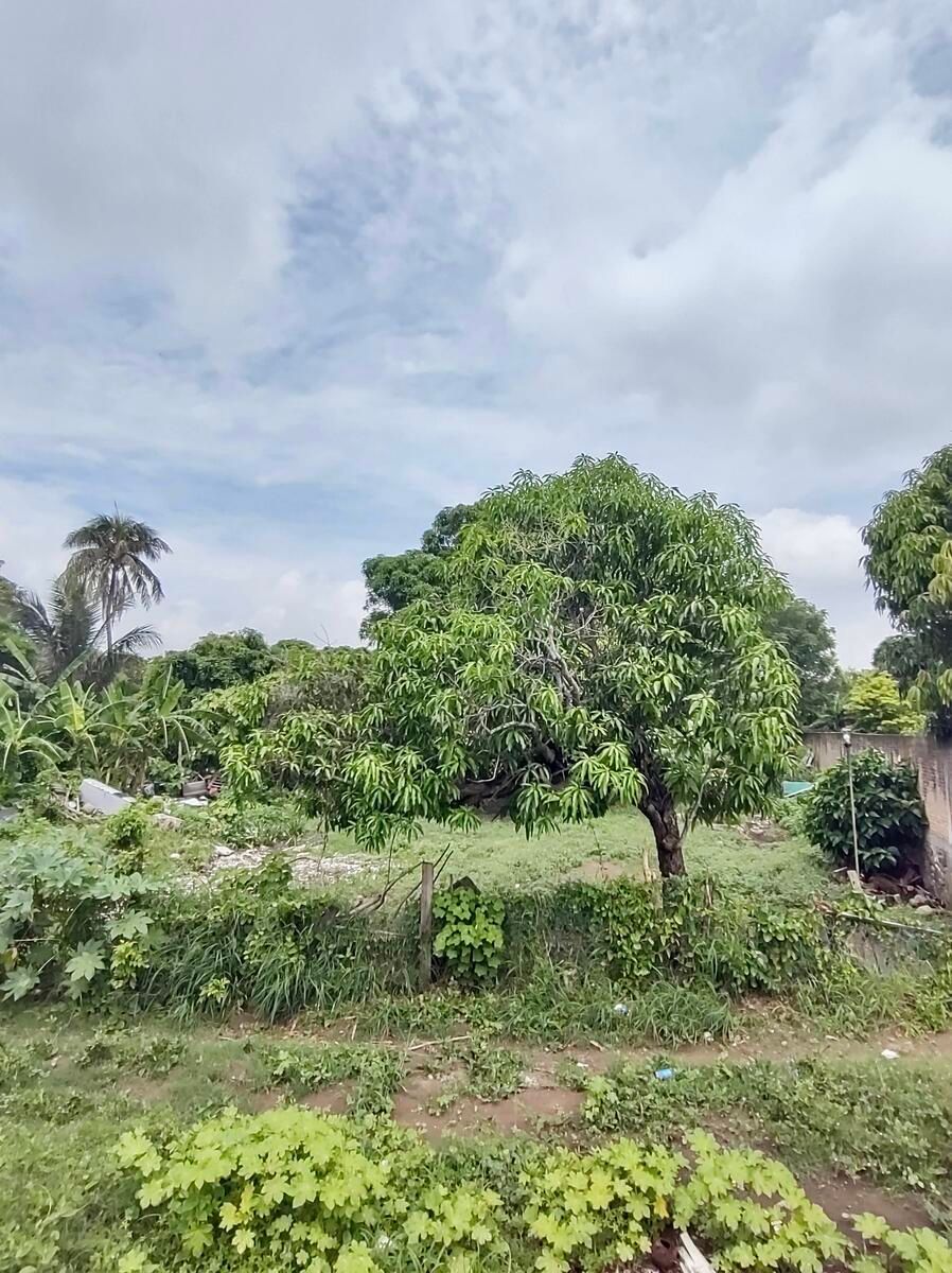 Lot in Las Bajadas, Veracruz, photo 4 of 10