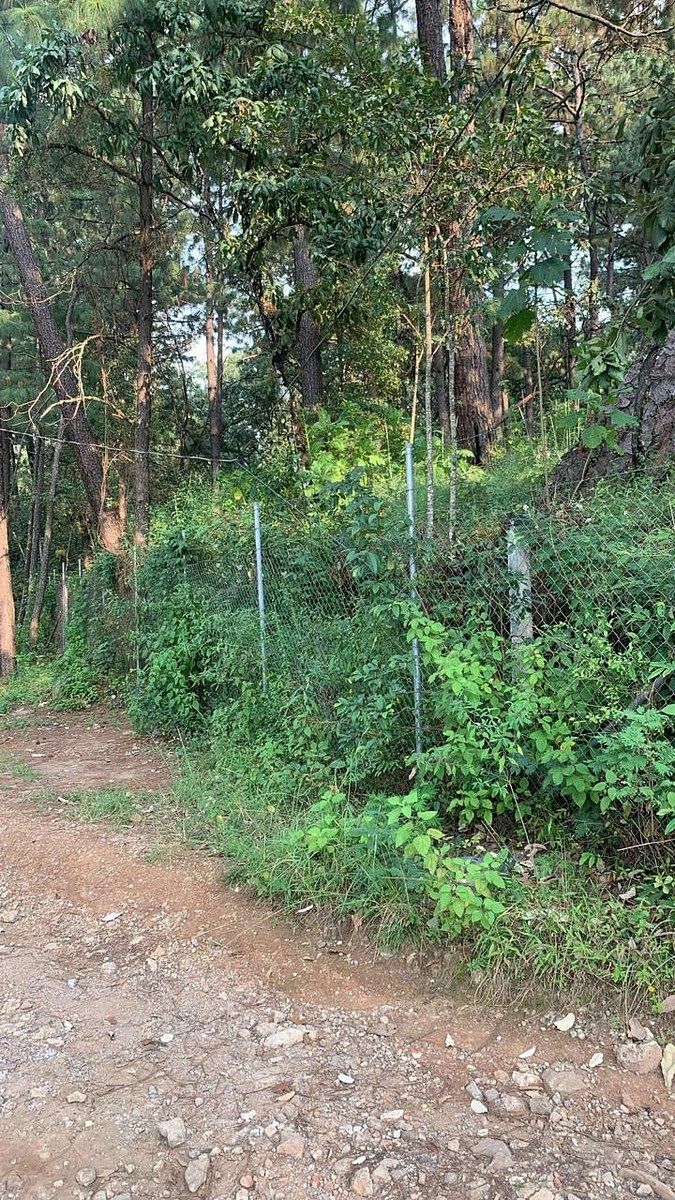 Lote em Santa María Ahuacatlan, Valle de Bravo, foto 9 de 21