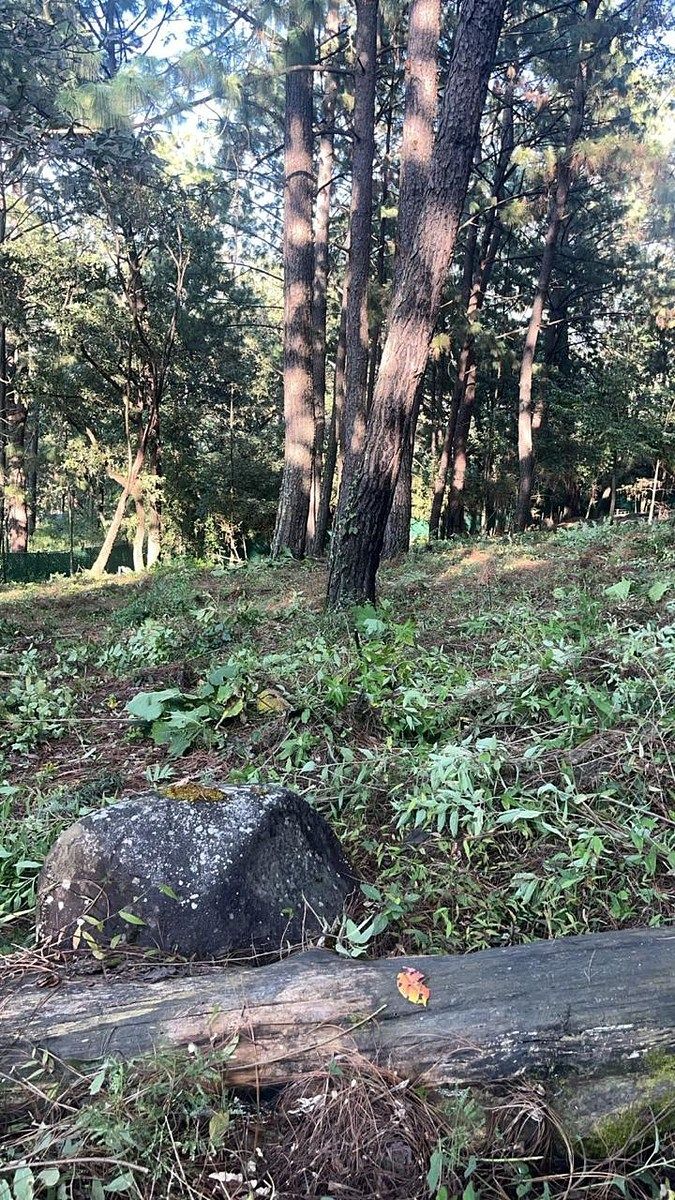 Lote em Santa María Ahuacatlan, Valle de Bravo, foto 12 de 21