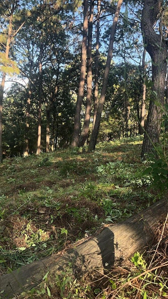 Lote em Santa María Ahuacatlan, Valle de Bravo, foto 13 de 21