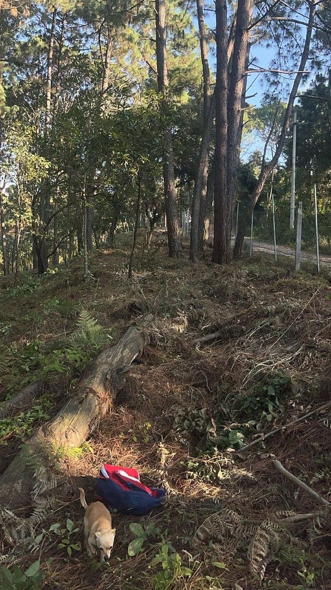 Lote em Santa María Ahuacatlan, Valle de Bravo, foto 14 de 21