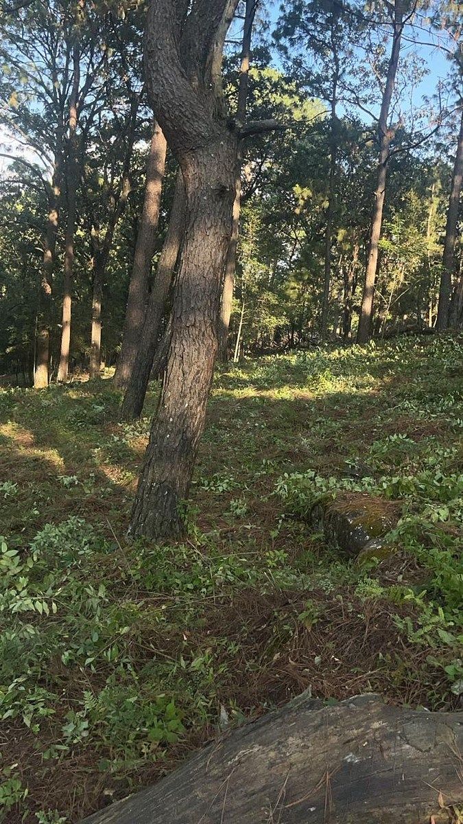 Lote em Santa María Ahuacatlan, Valle de Bravo, foto 15 de 21