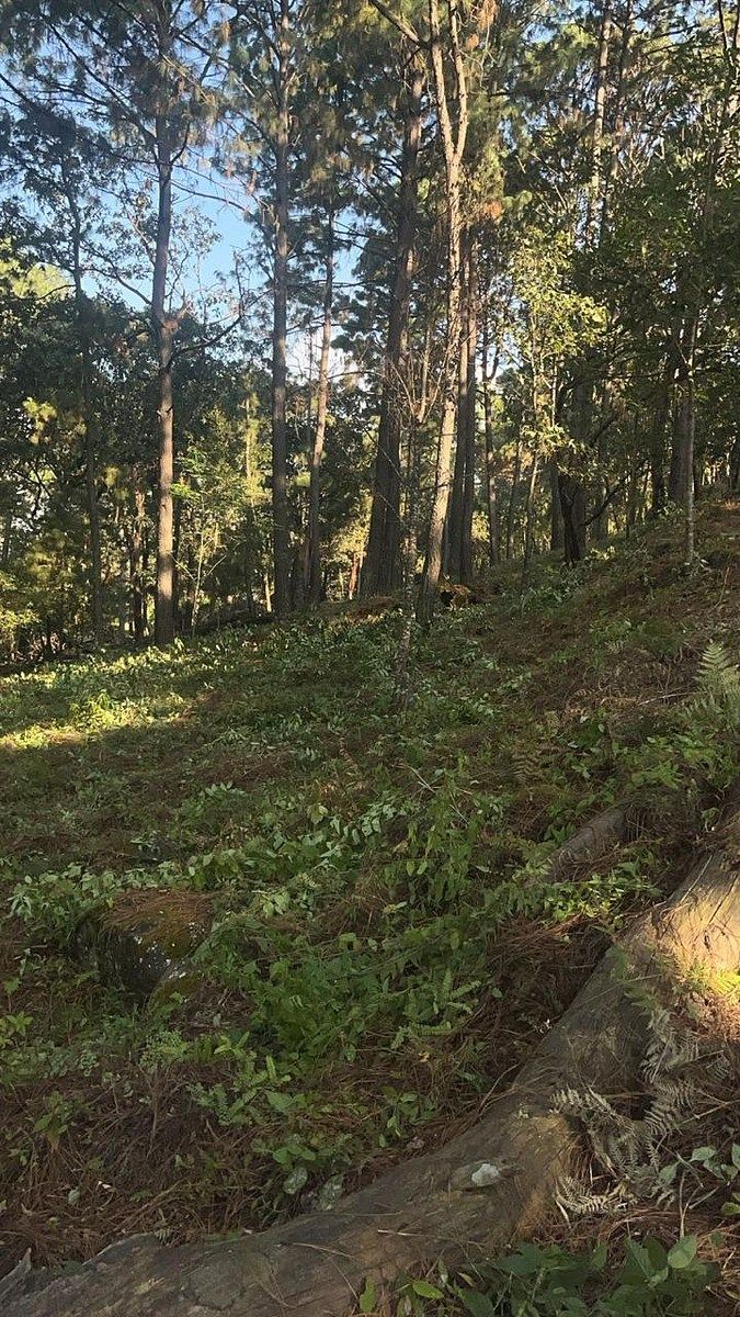Lote em Santa María Ahuacatlan, Valle de Bravo, foto 16 de 21