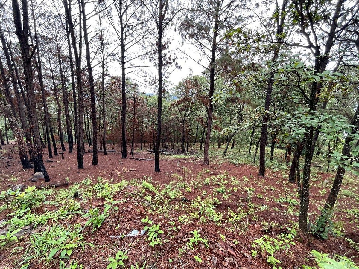 Lote em Santa María Ahuacatlan, Valle de Bravo, foto 17 de 21
