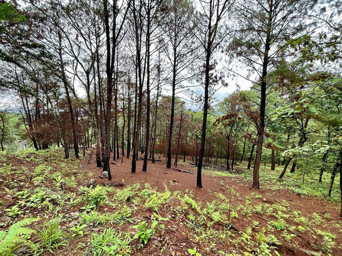 Lote em Santa María Ahuacatlan, Valle de Bravo, foto 19 de 21