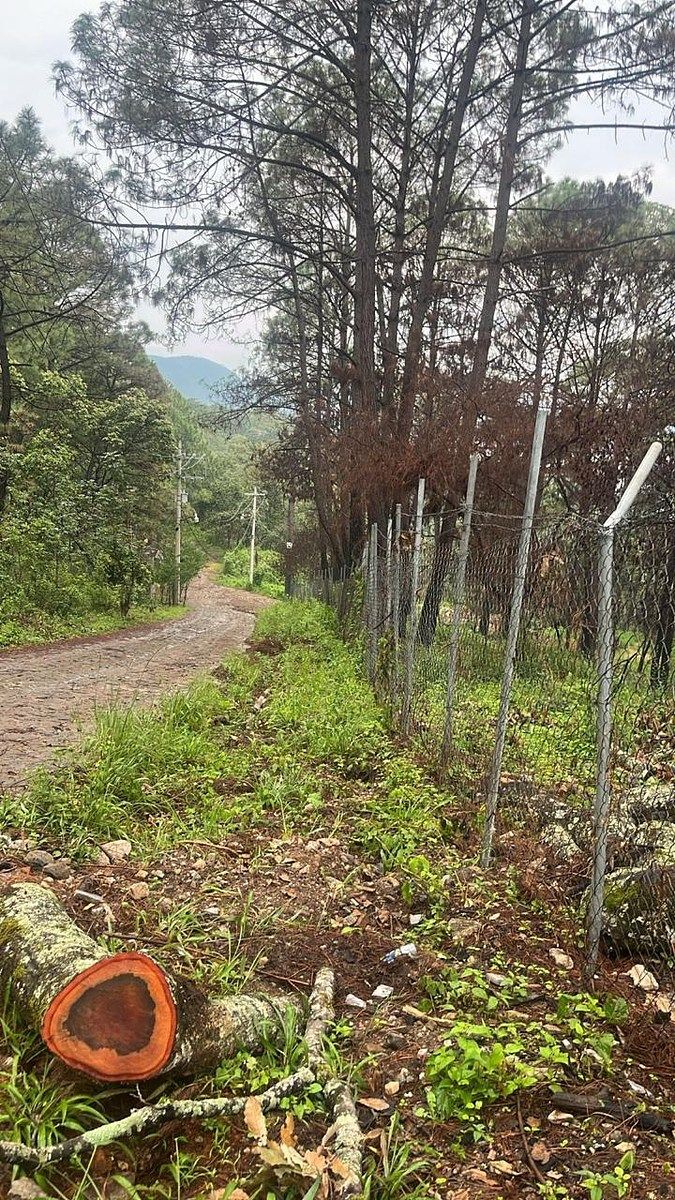 Lote em Santa María Ahuacatlan, Valle de Bravo, foto 20 de 21
