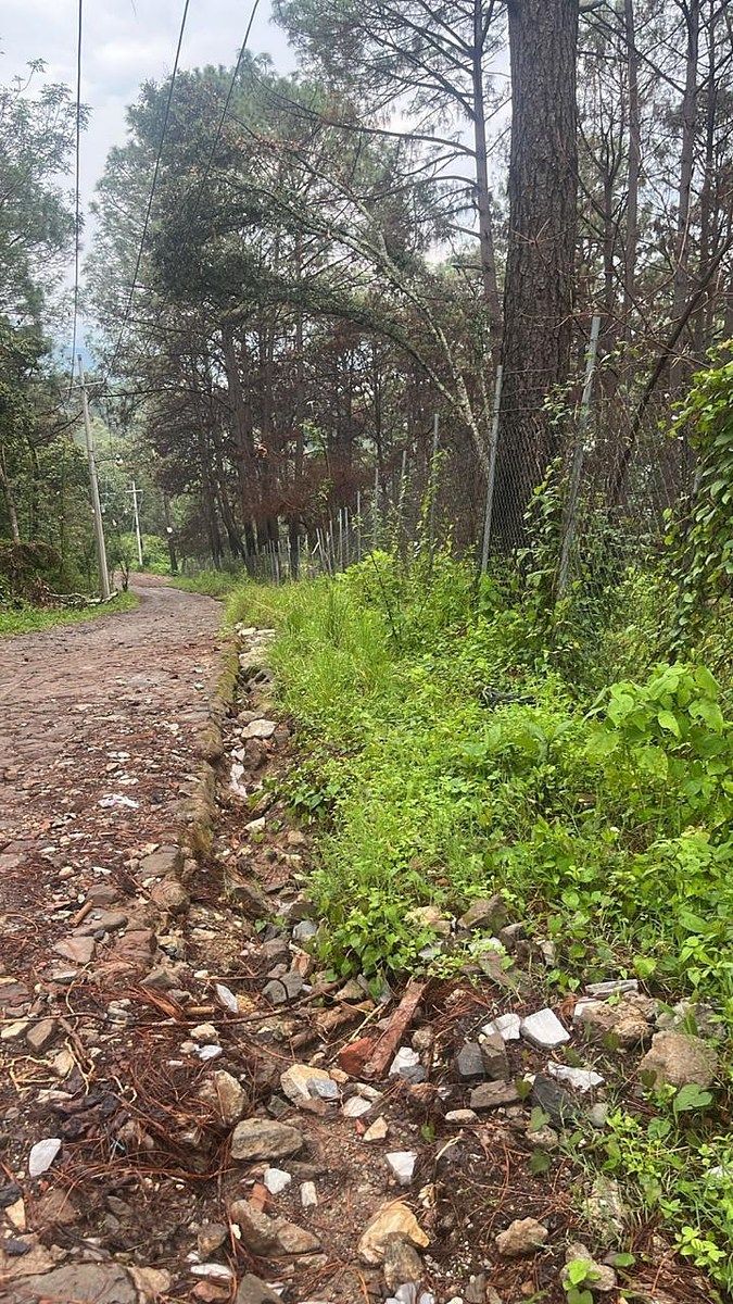 Lote em Santa María Ahuacatlan, Valle de Bravo, foto 21 de 21