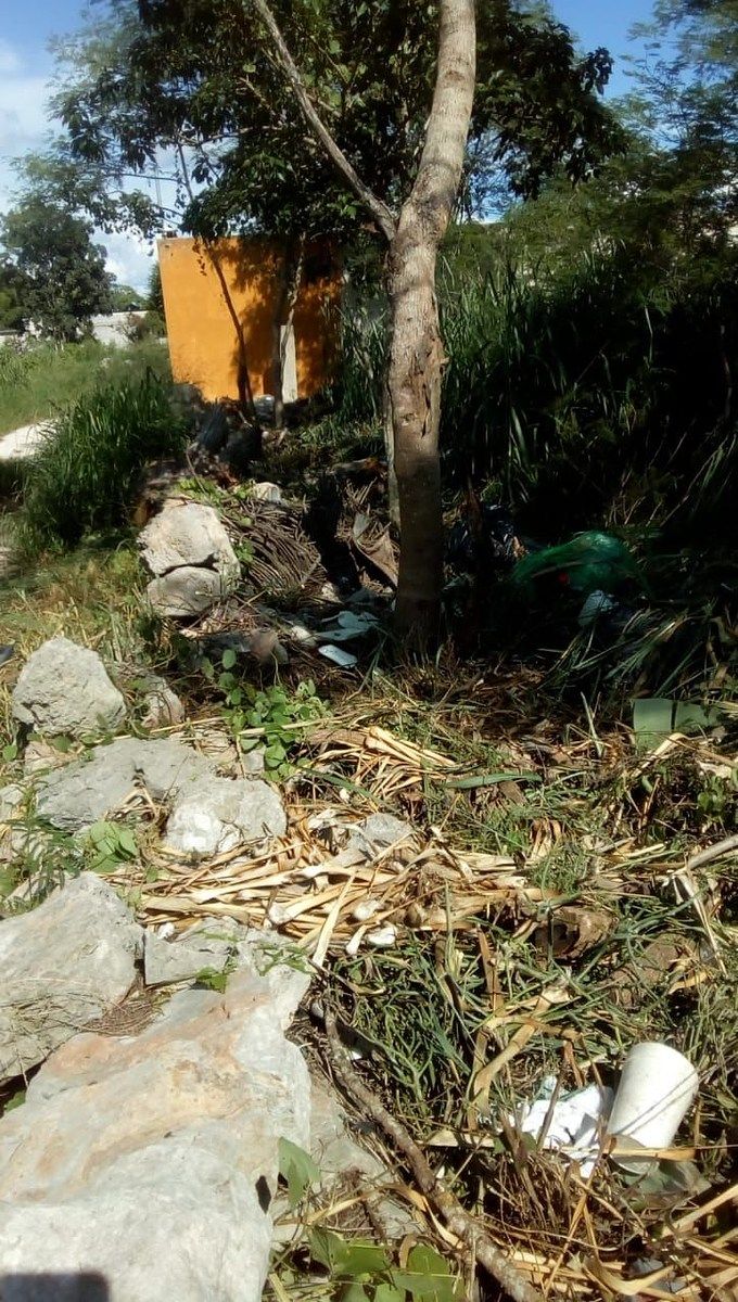 Terreno en Conkal, Conkal, foto 3 de 4