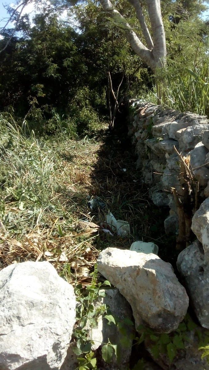 Terreno en Conkal, Conkal, foto 4 de 4