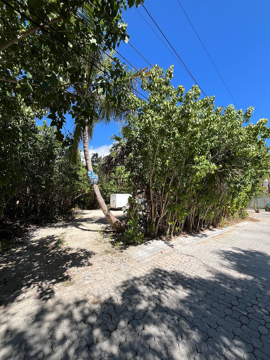 Terreno en Akumal, Tulum, foto 5 de 10