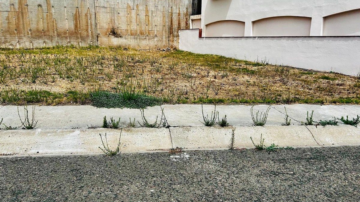 Lot in Puerta del Mar, Playas de Rosarito, photo 8 of 9