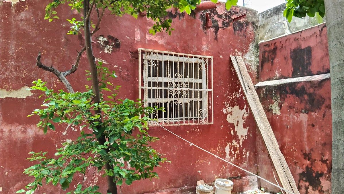 House in Mérida Centro, Mérida, photo 11 of 40