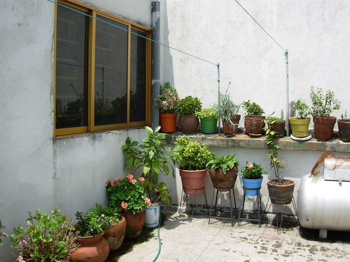 Casa en Santa Maria La Ribera, Cuauhtémoc, foto 21 de 22