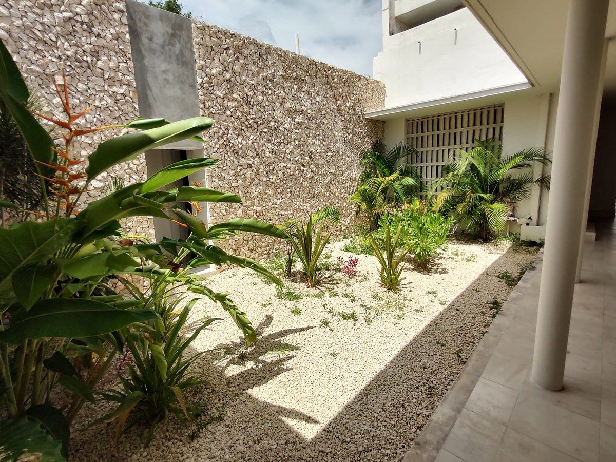 Office in Mérida Centro, Mérida, photo 13 of 24
