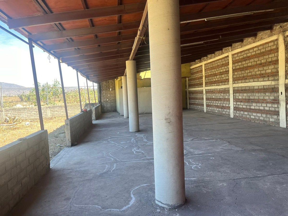 Lote em San Isidro Mazatepec, Tala, foto 4 de 10