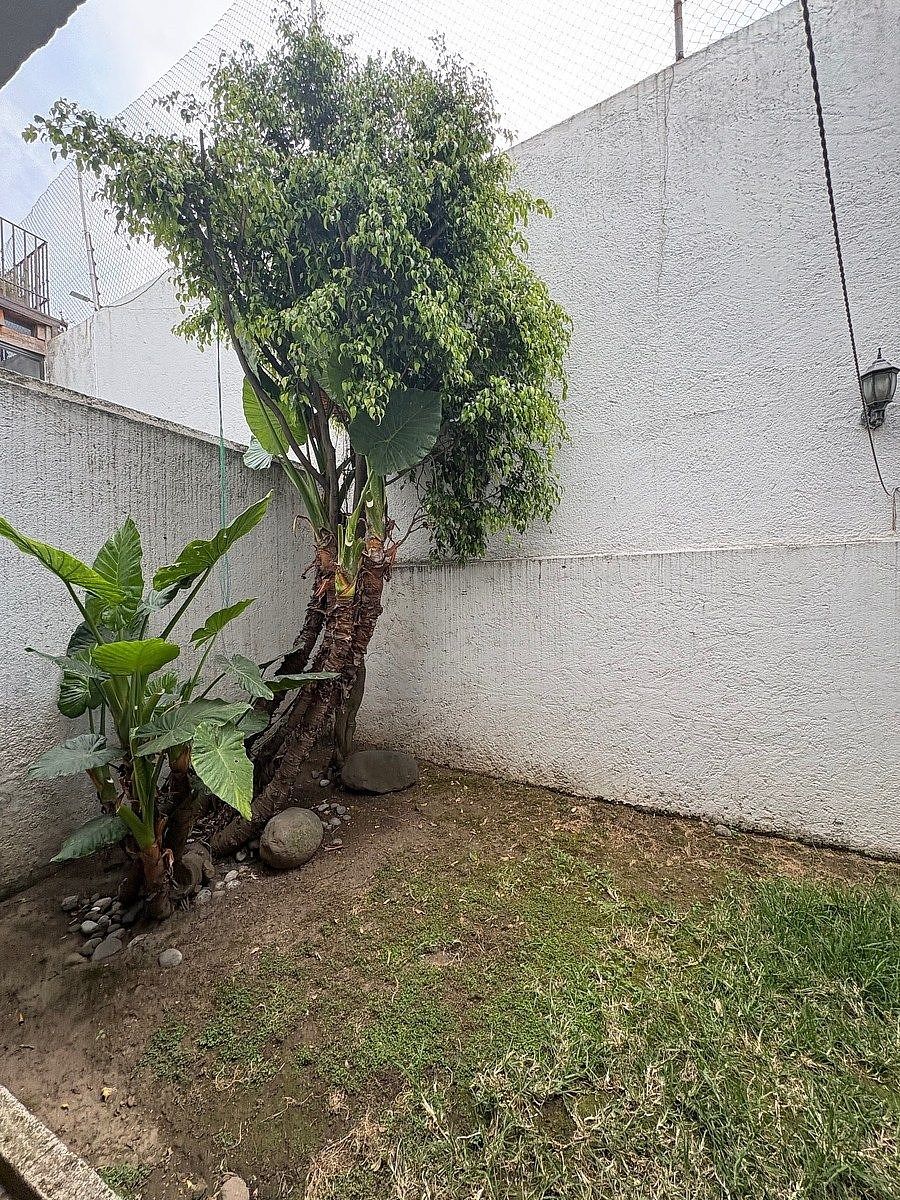 Casa em Jesús del Monte, Huixquilucan, foto 4 de 22
