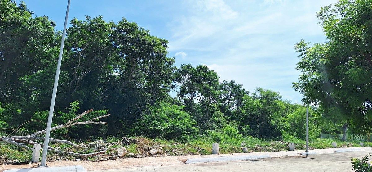 Terreno en Conkal, Conkal, foto 2 de 4
