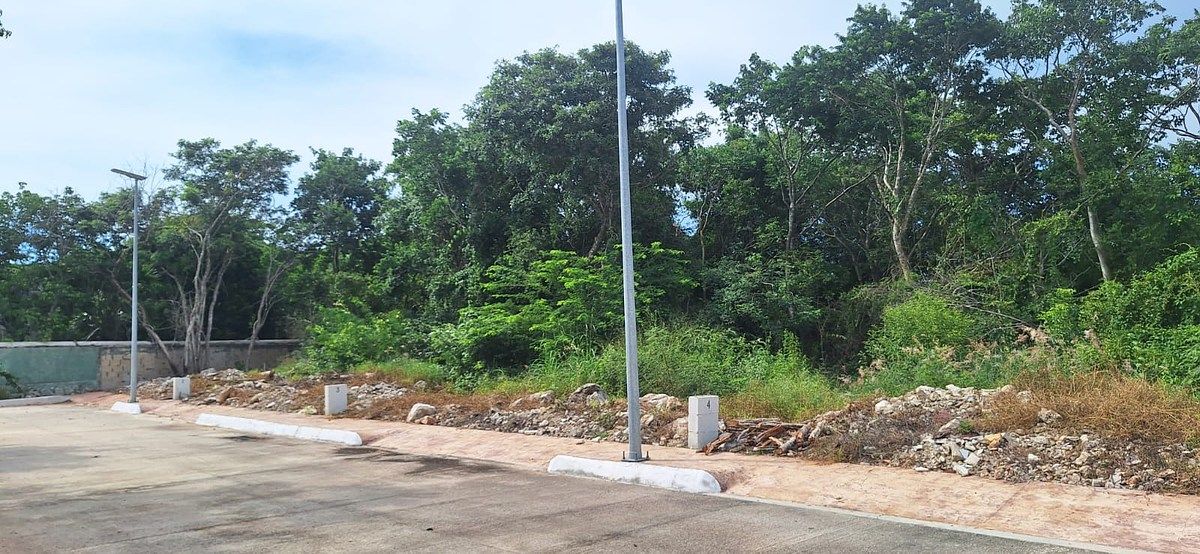 Terreno en Conkal, Conkal, foto 6 de 6