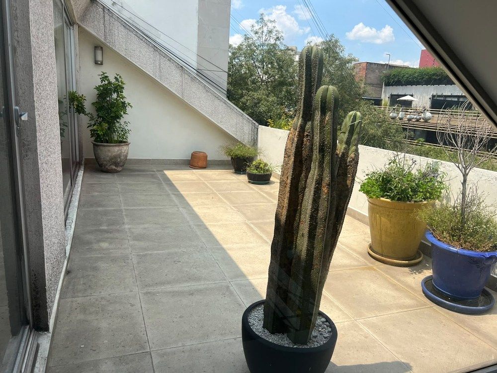 Apartment in Polanco IV Sección, Miguel Hidalgo, photo 6 of 18