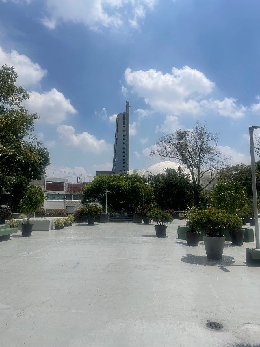 Departamento en San José Insurgentes, Benito Juárez, foto 4 de 25