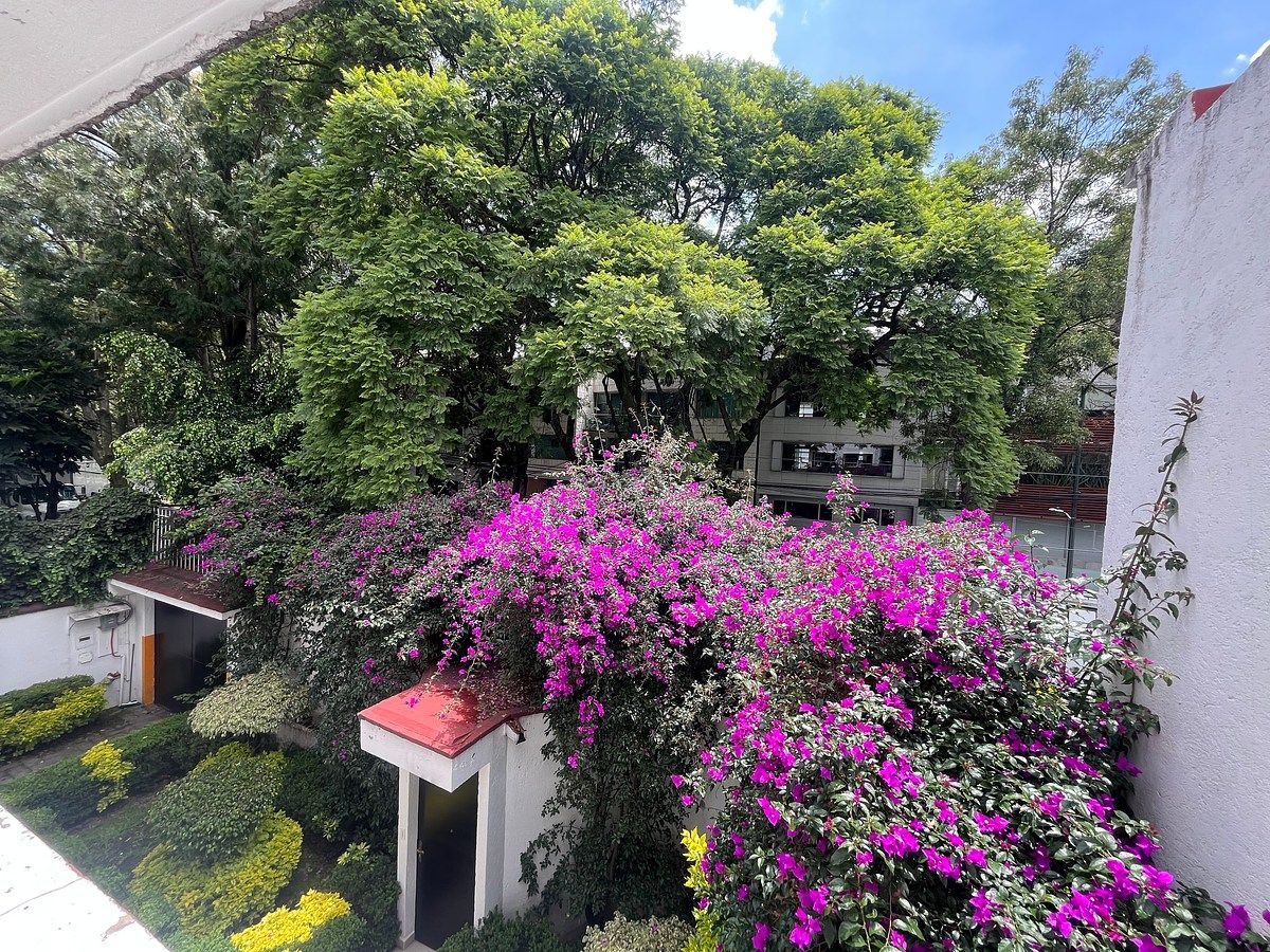 Casa em Polanco III Sección, Miguel Hidalgo, foto 5 de 27