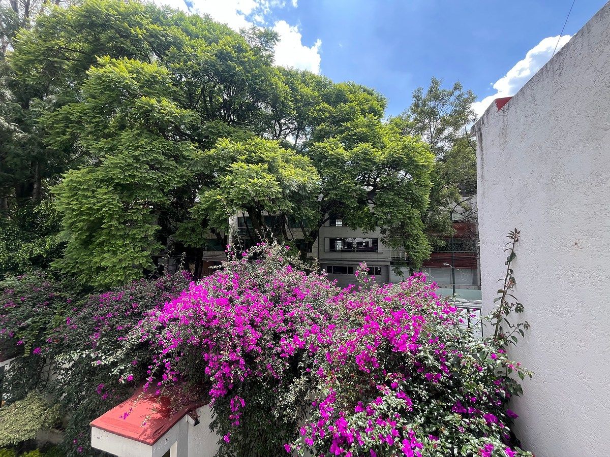 Casa em Polanco III Sección, Miguel Hidalgo, foto 6 de 27