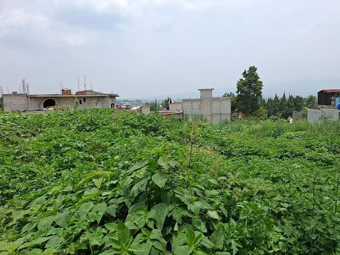 Lot in Tlapipinca, Cocotitlán, photo 6 of 6
