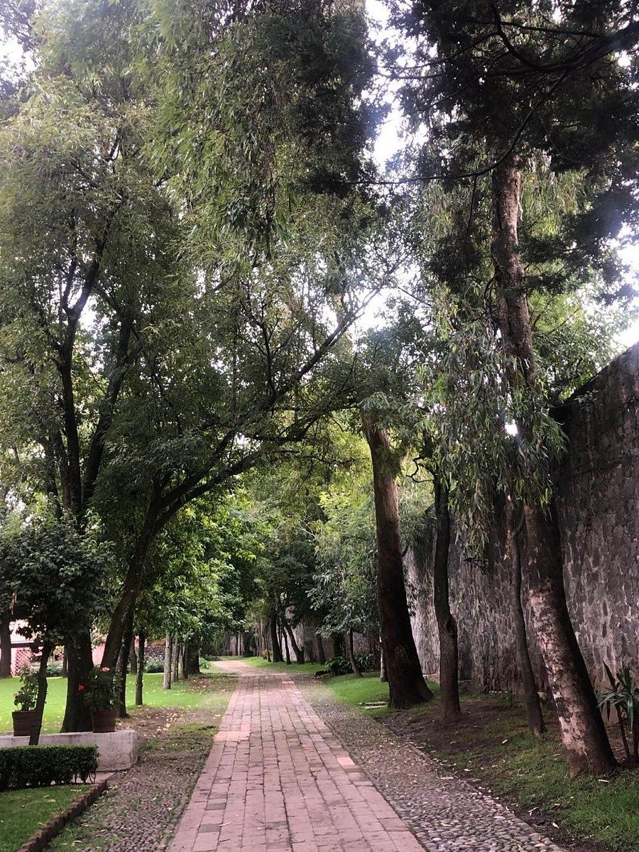 Departamento en Contadero, Cuajimalpa de Morelos, foto 11 de 11