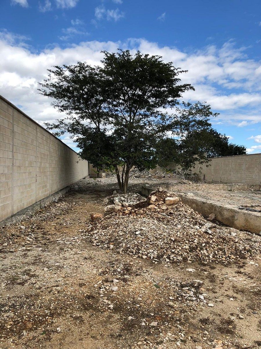Lot in Dzununcán, Mérida, photo 6 of 19