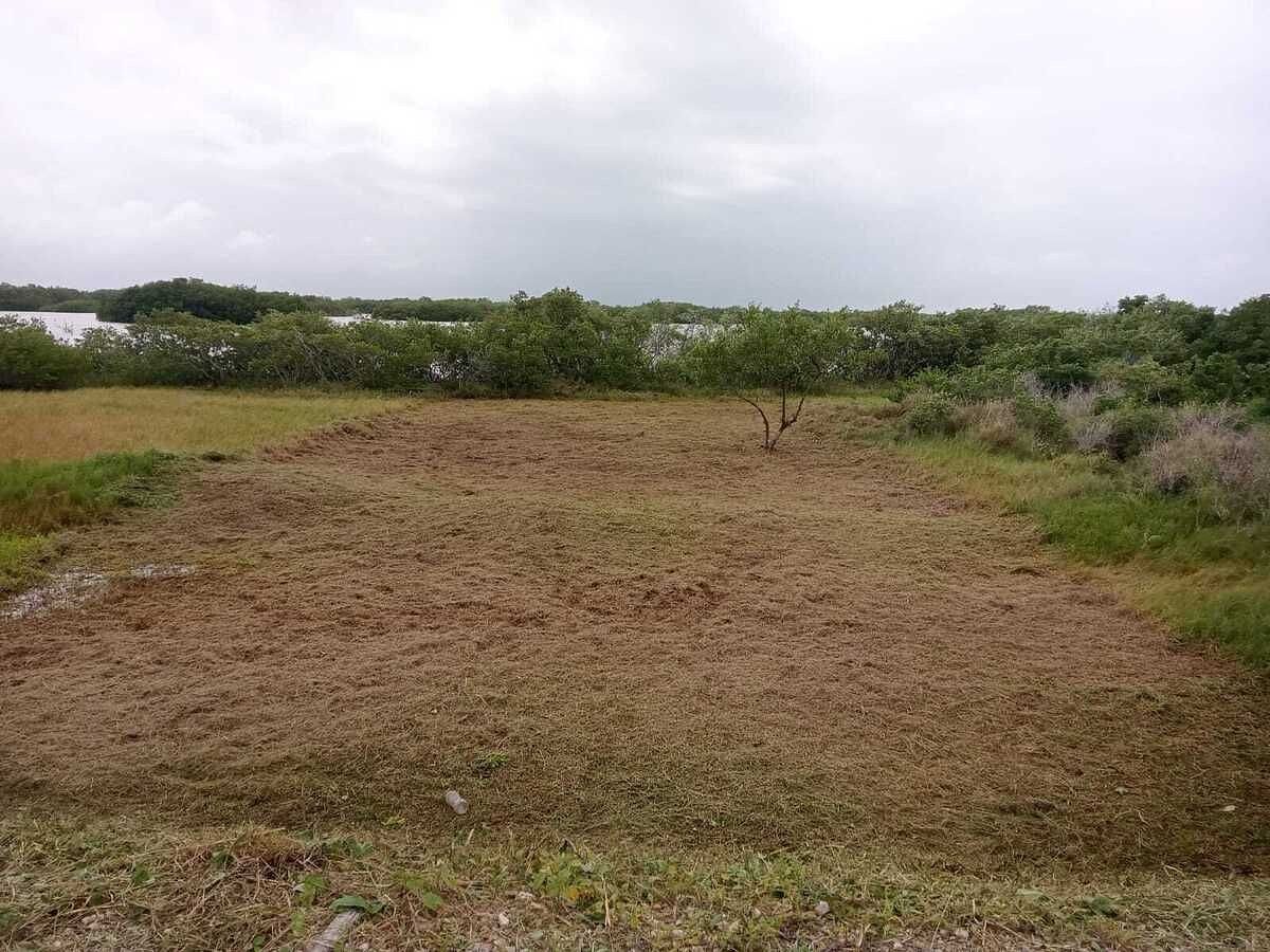 Terreno en Santa Clara, Dzidzantún, foto 2 de 6