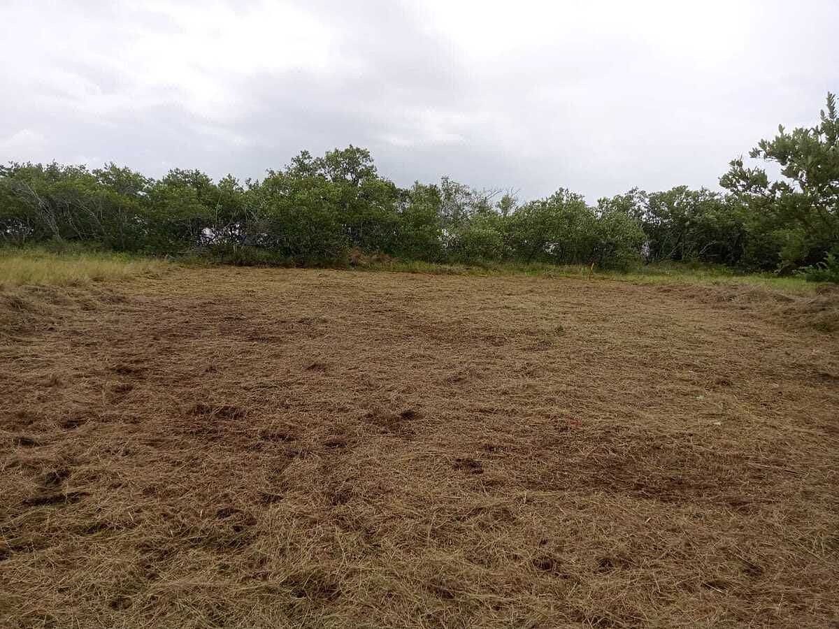 Terreno en Santa Clara, Dzidzantún, foto 4 de 6
