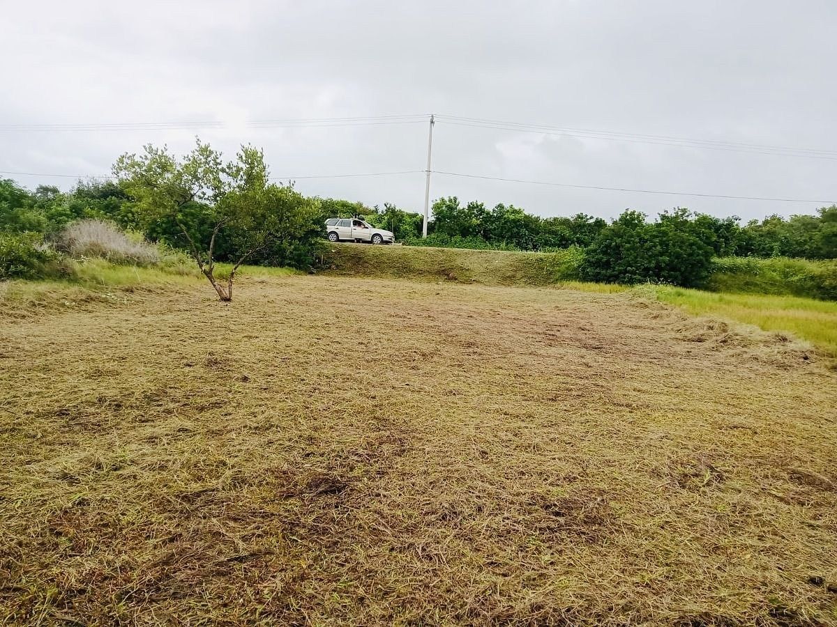 Terreno en Santa Clara, Dzidzantún, foto 5 de 6