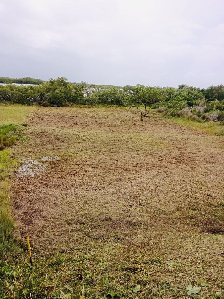 Terreno en Santa Clara, Dzidzantún, foto 6 de 6