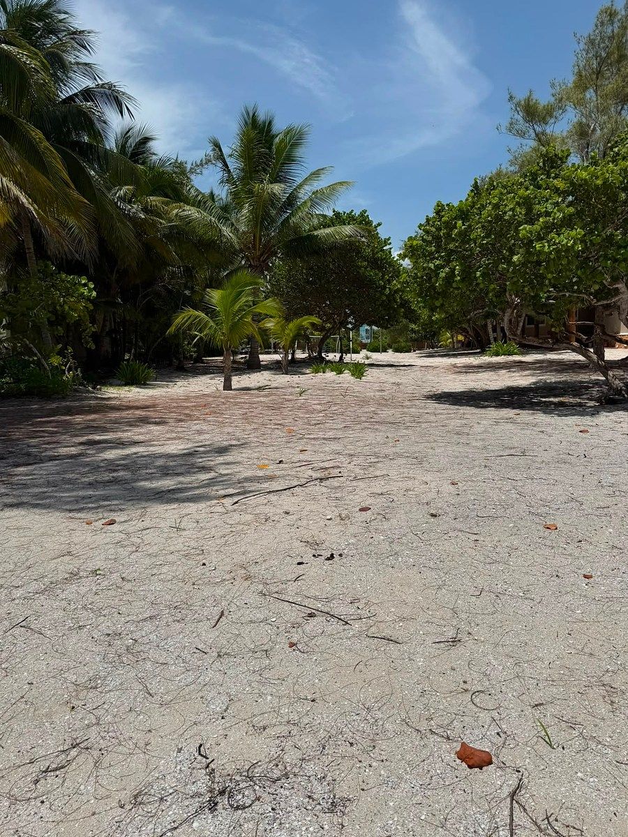 Lote em Progreso de Castro Centro, Mérida, foto 2 de 7