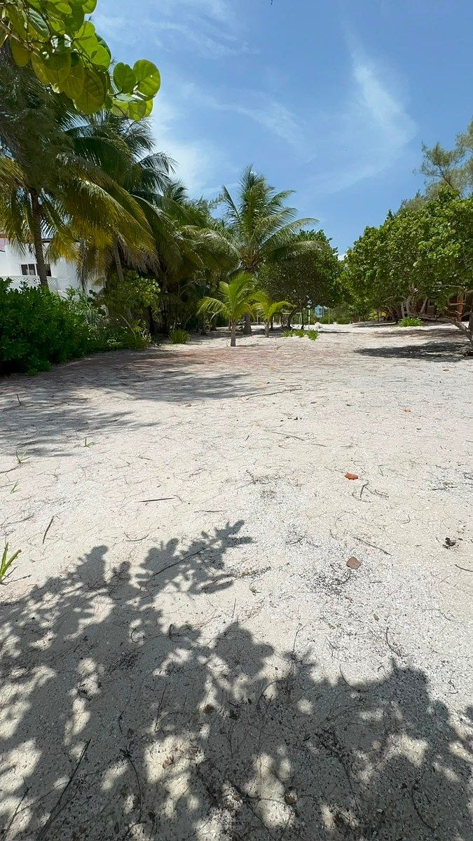 Lote em Progreso de Castro Centro, Mérida, foto 5 de 7