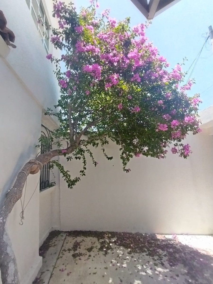 Casa em Cipreses, Querétaro, foto 14 de 14
