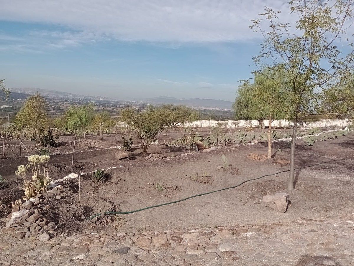Terreno en Vista Hermosa, Cadereyta de Montes, foto 6 de 21